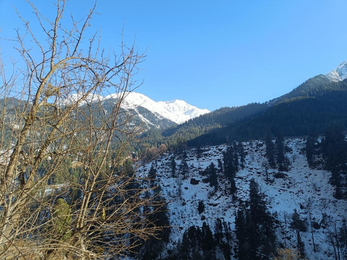 Snow Oak Guest House Kasol Zewnętrze zdjęcie