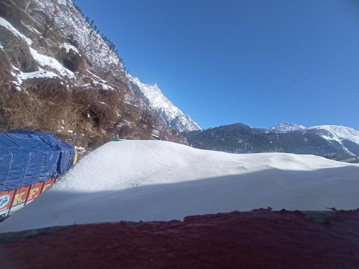 Snow Oak Guest House Kasol Zewnętrze zdjęcie